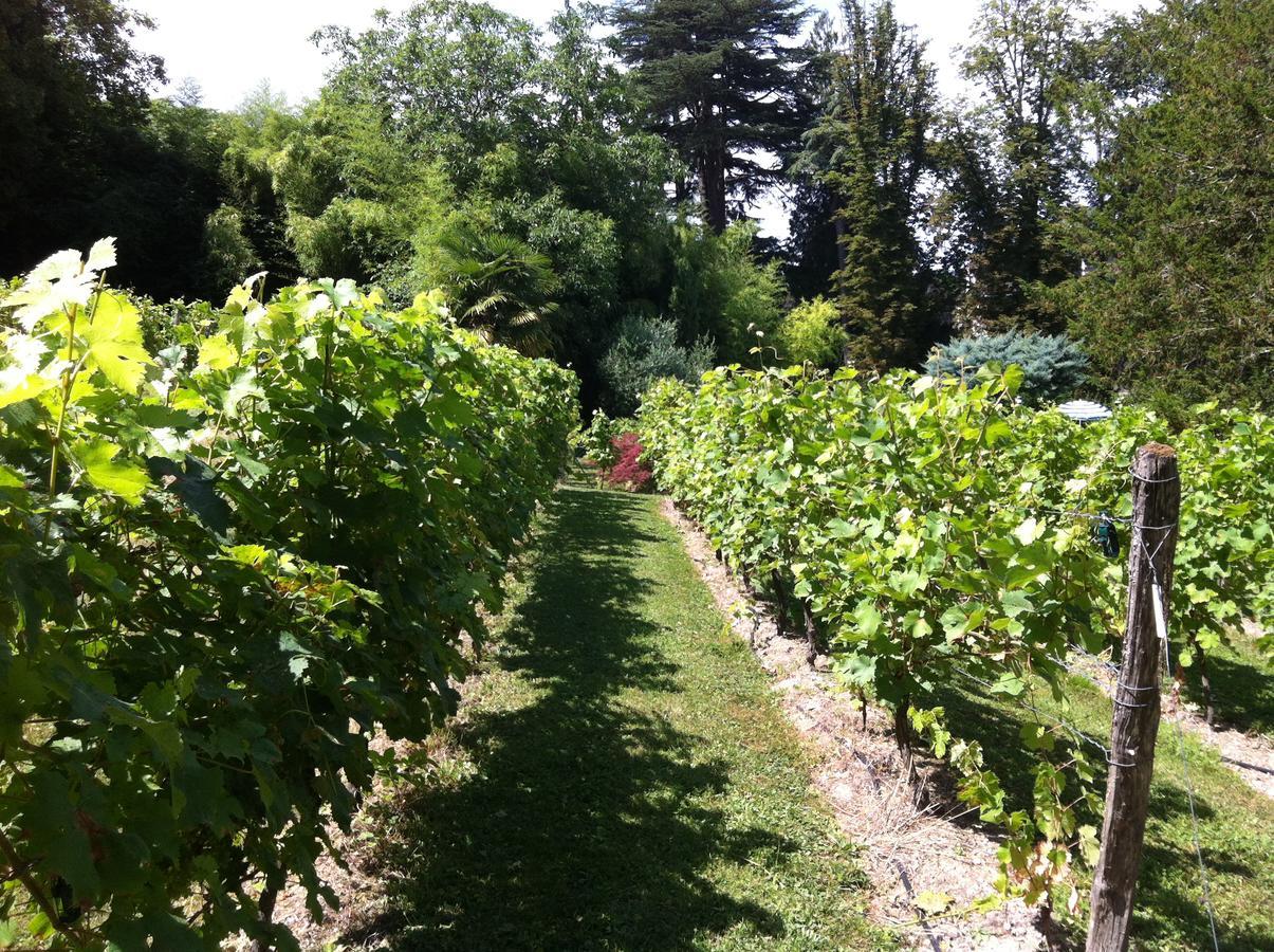 Chateau De Beaulieu 쏘뮤흐 외부 사진